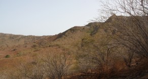 Quintas Do Campo 1